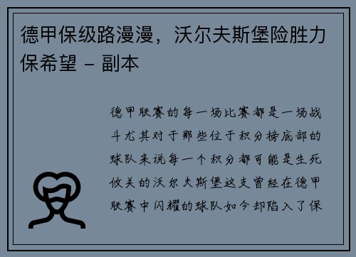 德甲保级路漫漫，沃尔夫斯堡险胜力保希望 - 副本